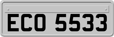 ECO5533