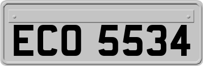 ECO5534