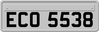ECO5538