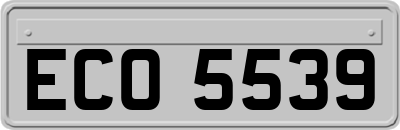 ECO5539