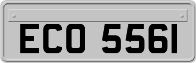 ECO5561