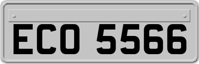 ECO5566