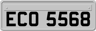 ECO5568