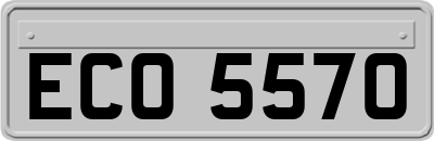 ECO5570