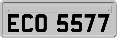 ECO5577
