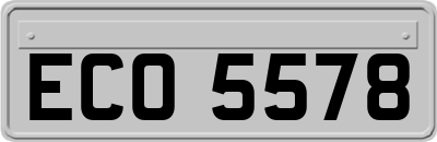 ECO5578