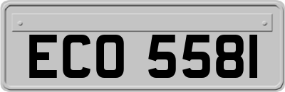 ECO5581