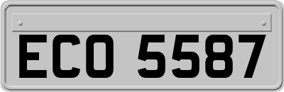 ECO5587