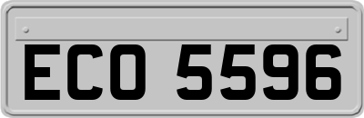 ECO5596