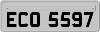 ECO5597