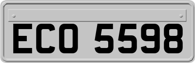 ECO5598