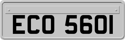 ECO5601