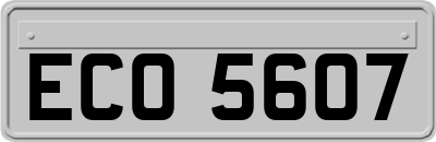 ECO5607