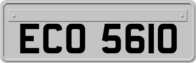 ECO5610