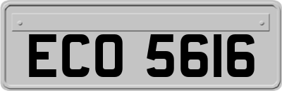 ECO5616
