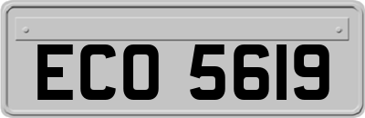 ECO5619