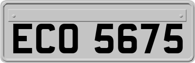 ECO5675