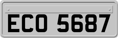 ECO5687