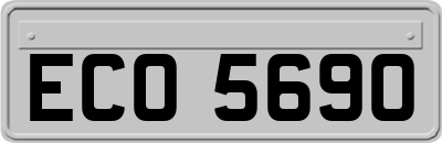 ECO5690