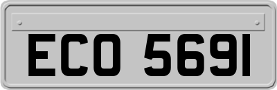 ECO5691