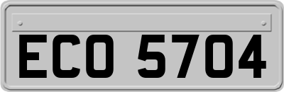 ECO5704