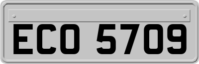 ECO5709