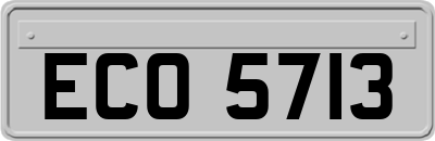ECO5713