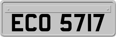 ECO5717
