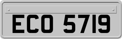 ECO5719