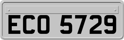 ECO5729
