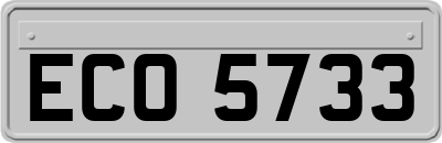 ECO5733