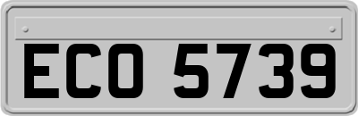 ECO5739