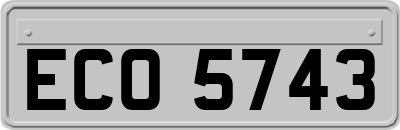 ECO5743