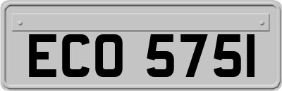 ECO5751