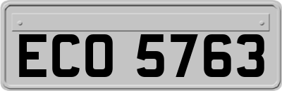 ECO5763