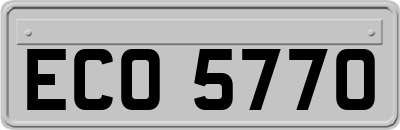 ECO5770