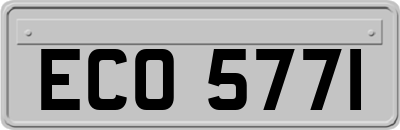 ECO5771