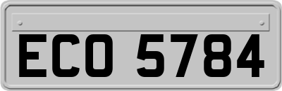 ECO5784