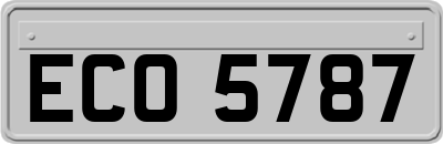 ECO5787