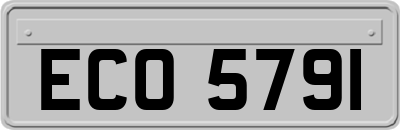 ECO5791