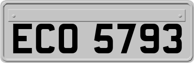 ECO5793