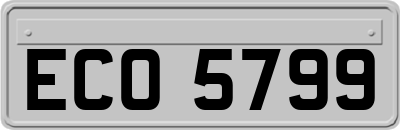 ECO5799
