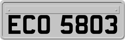 ECO5803