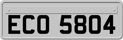 ECO5804