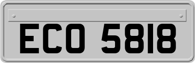ECO5818