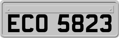 ECO5823