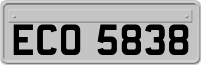 ECO5838