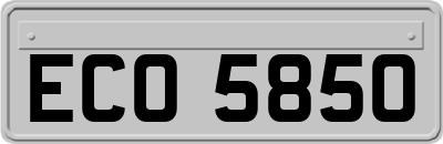 ECO5850
