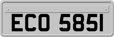 ECO5851