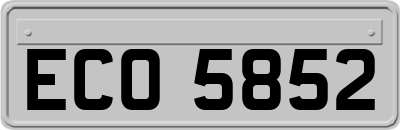 ECO5852